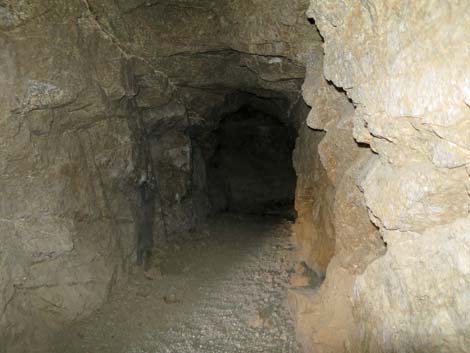 Lower Gold Butte Mine
