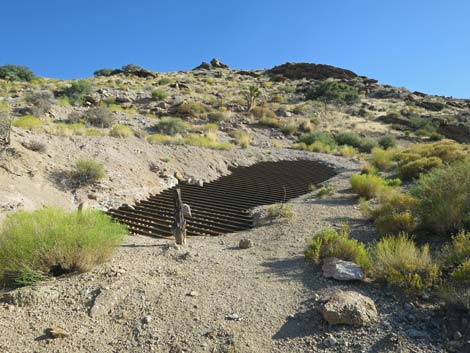 Gold Butte Townsite Lower Mine