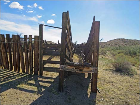 Willow Wash Corral