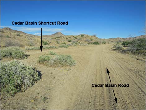 Cedar Basin Shortcut Road