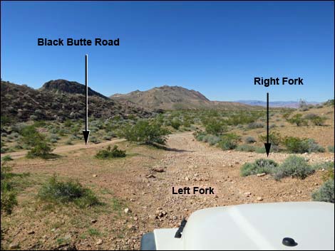 Black Butte Road Alternate