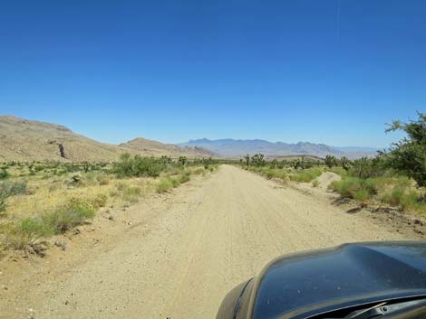 Gold Butte Road
