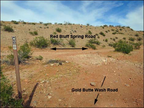 Gold Butte Wash Road