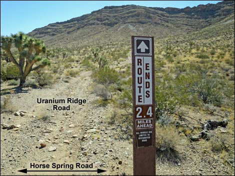 Horse Spring Road