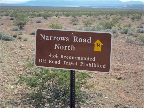 Narrows Road North
