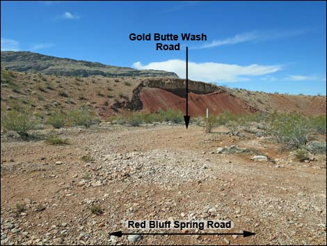 Gold Butte Wash Road