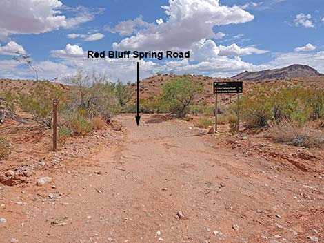 Red Bluff Spring Road