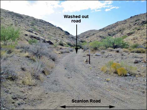 scanlon road