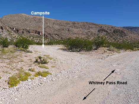 Whitney Pass Road Campsites