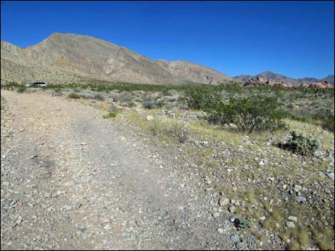 Whitney Pocket Overlook Trail