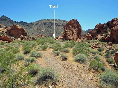 Redstone Dune Loop Trail