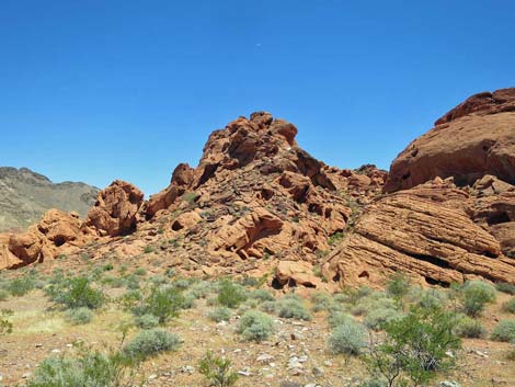 Redstone Dune Loop Trail