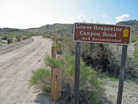 Lower Grapevine Canyon Road