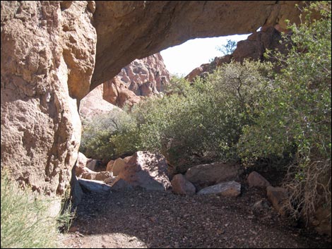 Virlis-Fisher Arch