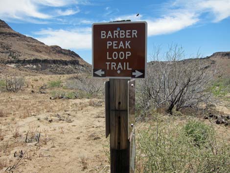 Barber Loop Trail