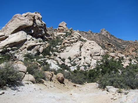 Caruthers Canyon