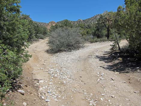 Caruthers Canyon Road