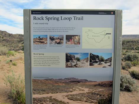 Rock Spring Loop Trail