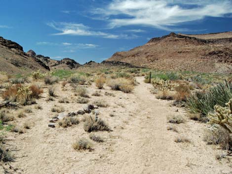 Wild Horse Spur Trail