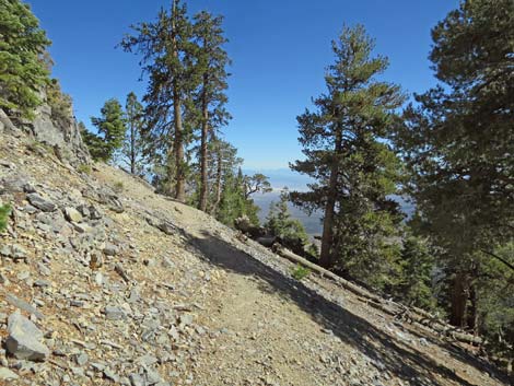 Bonanza Peak Trail