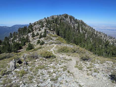 Bonanza Peak