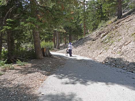 Deer Creek Trail