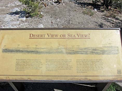 Desert View Overlook