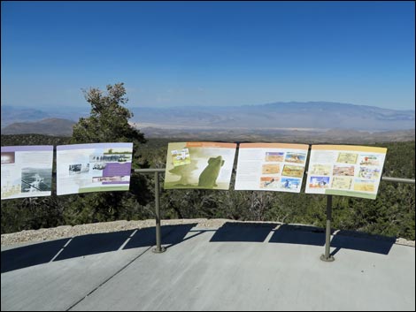 Desert View Overlook Trail