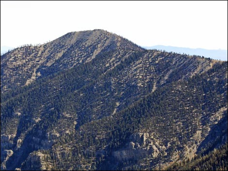 Lee Peak