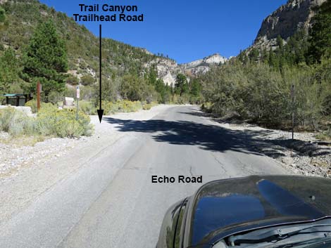 Echo Road