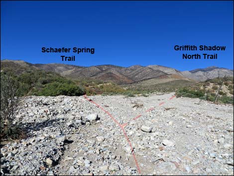 Schaefer Spring Trail