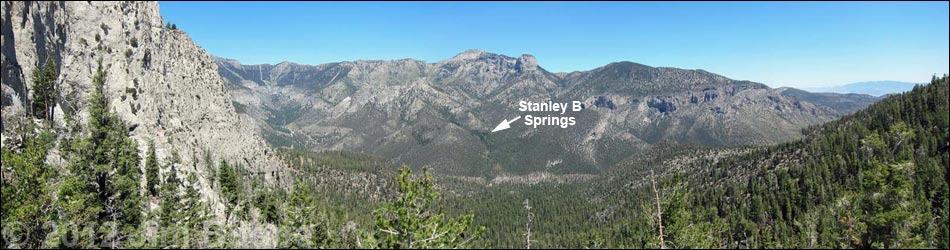 Stanley B Springs