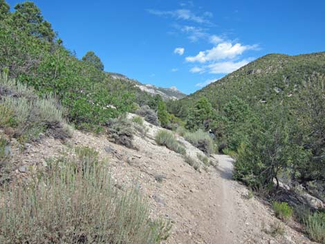 Lower Telephone Canyon Trail