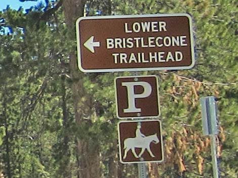 Lower Bristlecone Trailhead