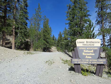 Bristlecone Trail Loop
