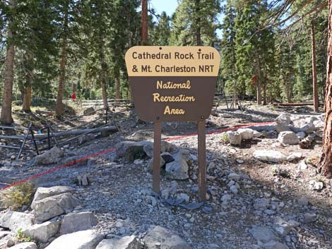 Cathedral Rock Trailhead