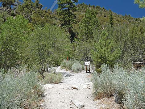 Trail Canyon Trailhead