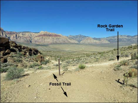 Fossil Canyon Loop