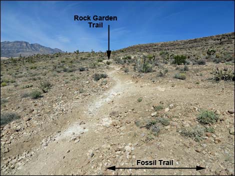Rock Garden Trail
