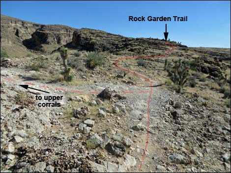 Rock Garden Trail