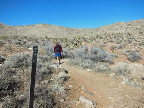 Ridgeline Loop Trail