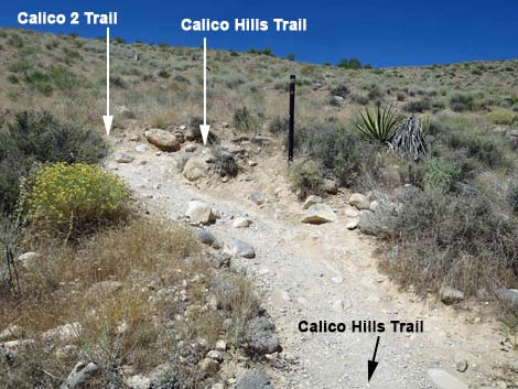 calico hills trail