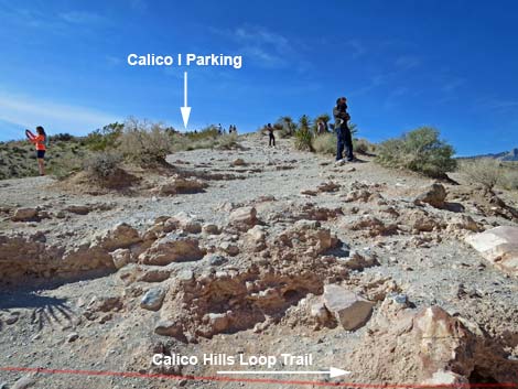 Calico Hills Trail