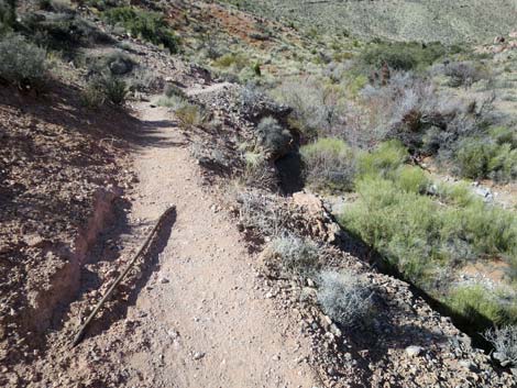 Calico Wash Trail