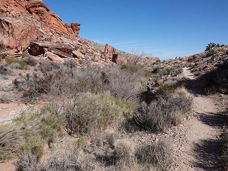 Entrance Station to Calico Basin Trail