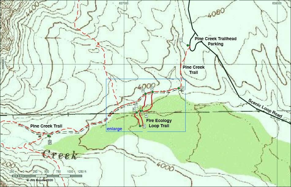 Fire Ecology Trail Map