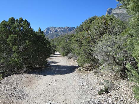 White Rock Loop Trail
