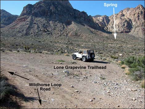 Lone Grapevine Spring Trail