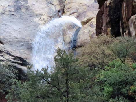 Lower Lost Creek Falls