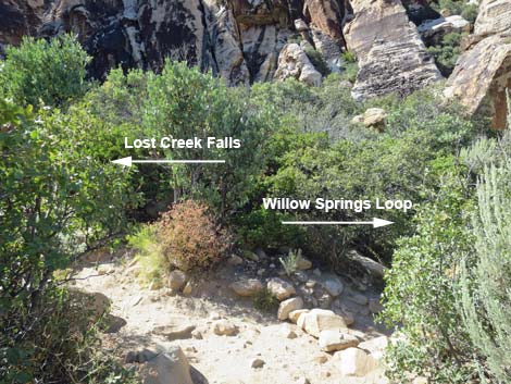 Lower Lost Creek Falls